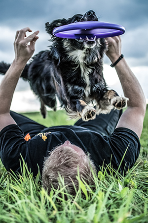 Dogfrisbee-Hundeschule-Stadtfelle