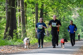 Hundeschule Stadtfelle auf dem Sechs Pfoten Lauf